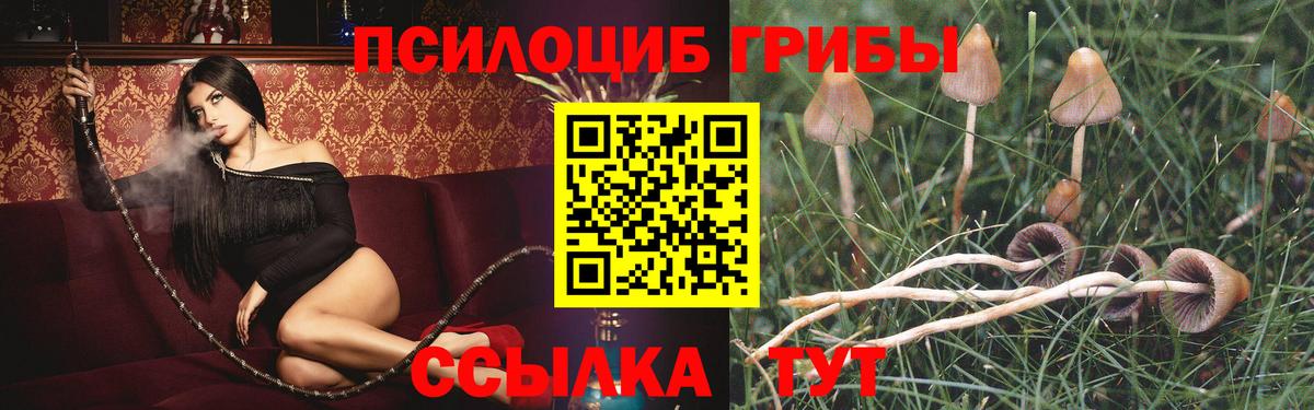 Псилоцибиновые грибы прущие грибы Котельники