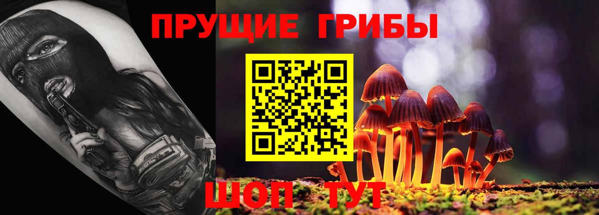 Галлюциногенные грибы MAGIC MUSHROOMS  наркотики  Вход с VPN  Котельники  Галлюциногенные грибы мицелий 